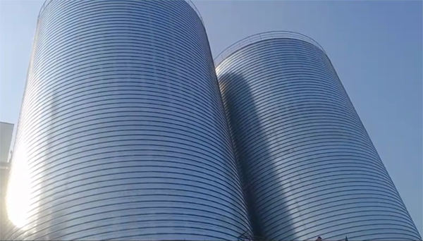 汕尾2座混凝土高架卷板仓